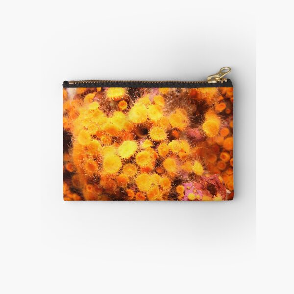 Item preview, Colors of the Ocean.  Undersea wonders. designed and sold by picturedlcphoto.