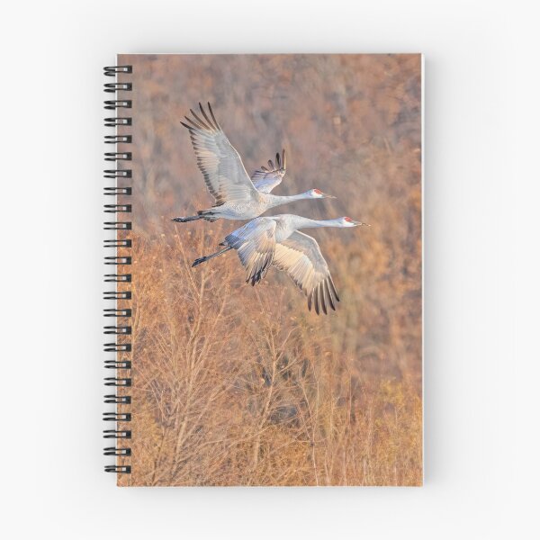 Item preview, Flight Of The Sandhills 2019 Artistic  designed and sold by Thomasyoung.