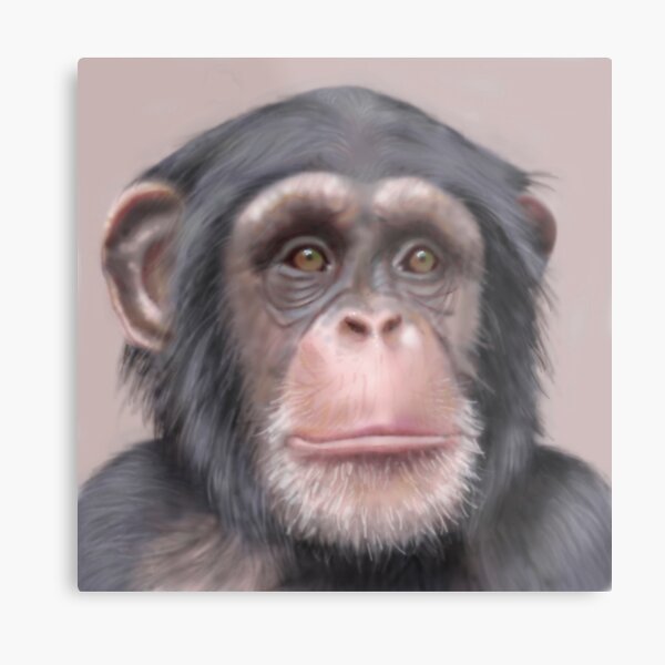 A. Chimp Metal Print