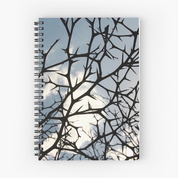 Item preview, Winter Web - Bare Branches designed and sold by picturedlcphoto.