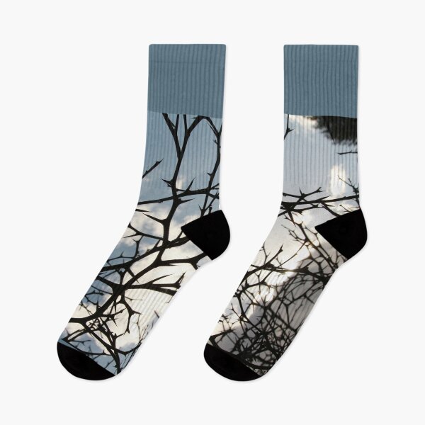 Item preview, Winter Web - Bare Branches designed and sold by picturedlcphoto.