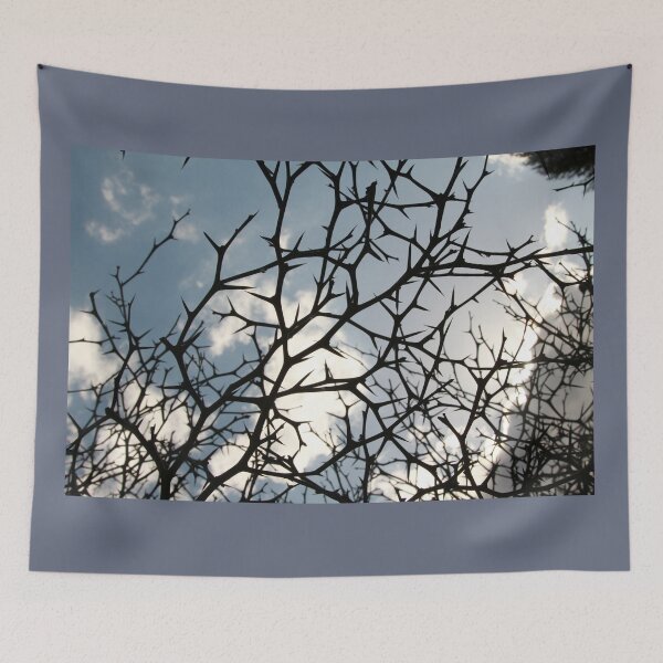 Item preview, Winter Web - Bare Branches designed and sold by picturedlcphoto.
