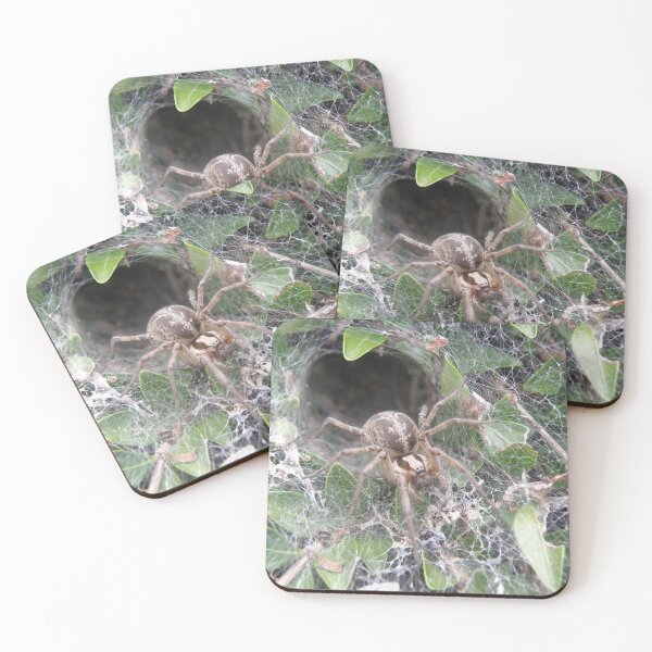 Item preview, Labyrinth Spider and Web Macro Photograph designed and sold by naturegallery.