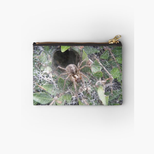 Item preview, Labyrinth Spider and Web Macro Photograph designed and sold by naturegallery.