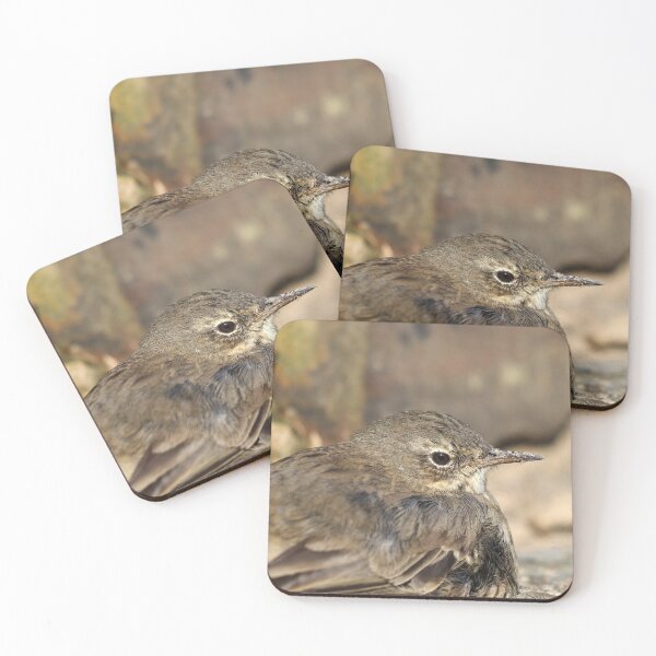 Item preview, Pipit close up designed and sold by GreyFeatherPhot.