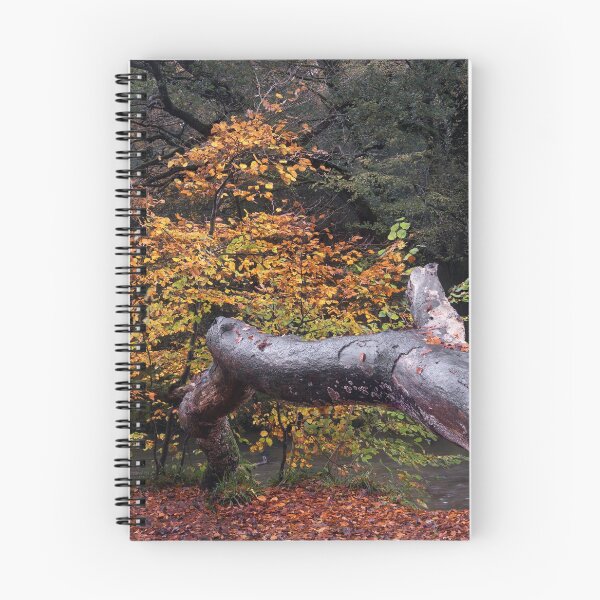Item preview, RESPRYN AUTUMN designed and sold by Andrew Hocking.