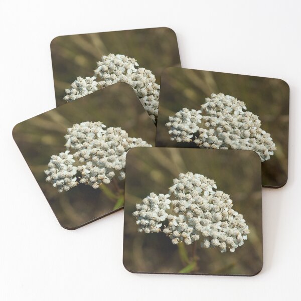 Item preview, Pearly Everlasting designed and sold by Vivar Photo.