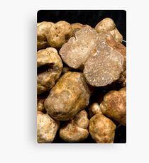 Oregon White Truffles # 3 Canvas Print