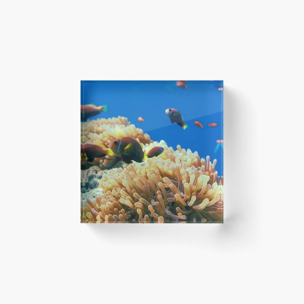Item preview, Tropical Coral Sea Life designed and sold by ultimatedigital.