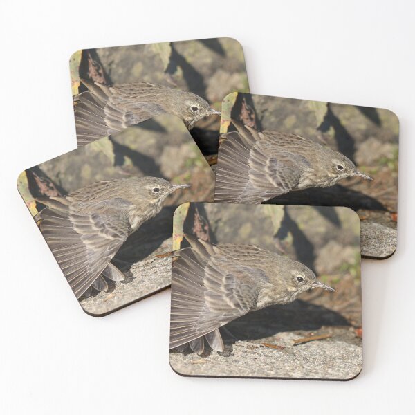 Item preview, Wing stretch designed and sold by GreyFeatherPhot.