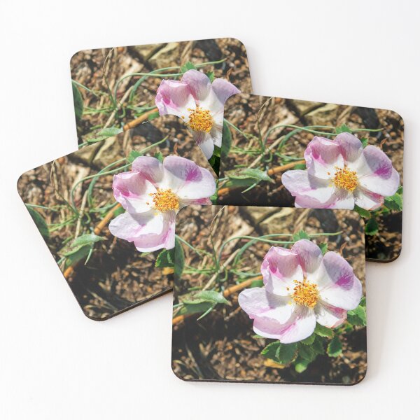 Item preview, A Single Wild Rose, Resilient  designed and sold by Vivar Photo.