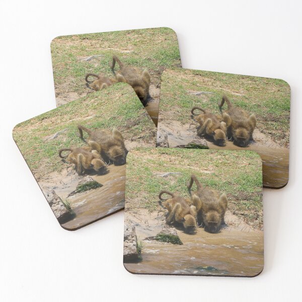 Item preview, Baboons drinking at the Chobe River, Botswana, Africa designed and sold by FranWest.