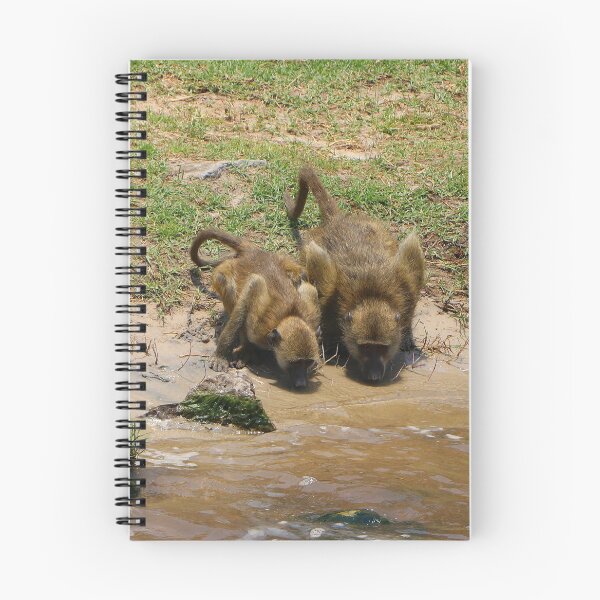 Item preview, Baboons drinking at the Chobe River, Botswana, Africa designed and sold by FranWest.