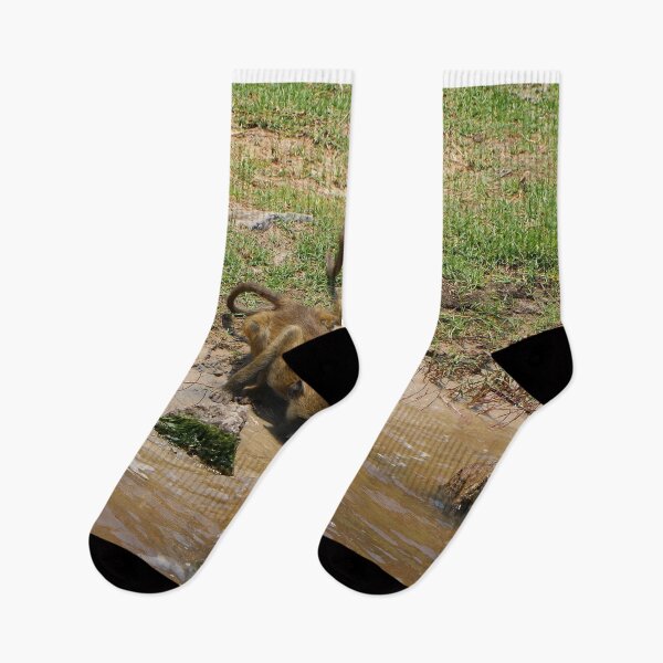 Item preview, Baboons drinking at the Chobe River, Botswana, Africa designed and sold by FranWest.