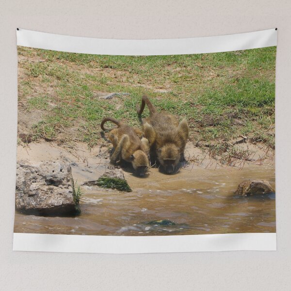Item preview, Baboons drinking at the Chobe River, Botswana, Africa designed and sold by FranWest.