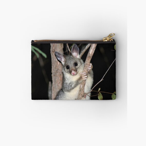 Item preview, © Australian brushtail possum (young) designed and sold by GeoPipics.