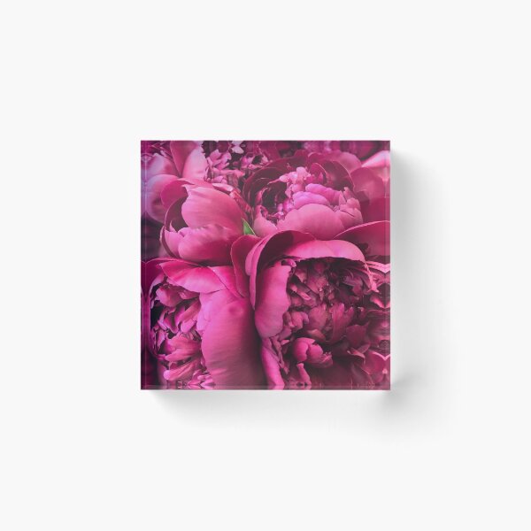 Item preview, Hot pink peonies designed and sold by mille177.