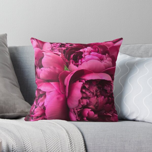 https://ih1.redbubble.net/image.964806432.1921/throwpillow,small,600x-bg,f8f8f8-c,0,120,600,600.jpg