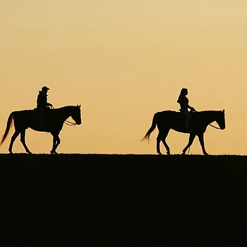 Artwork thumbnail, Sunset Riders by Emily Peak