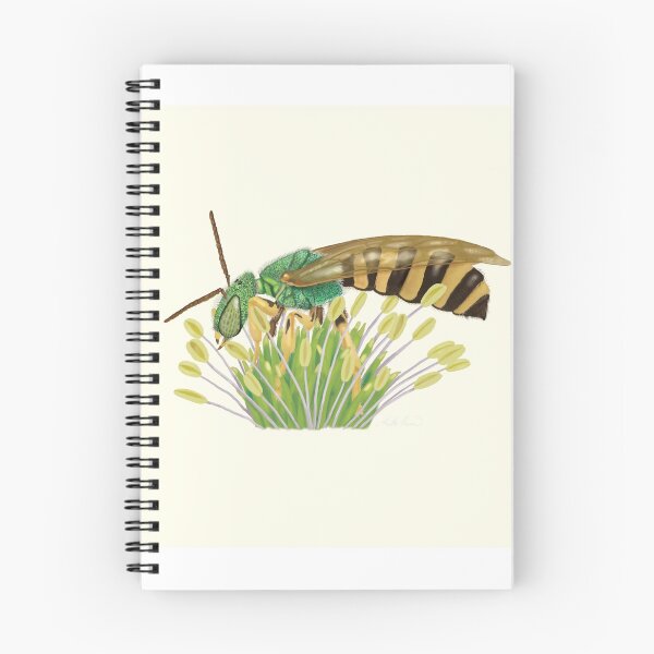 Aperçu de l'œuvre Sweat Bee - Mâle créée et vendue par Heather  Hinam.