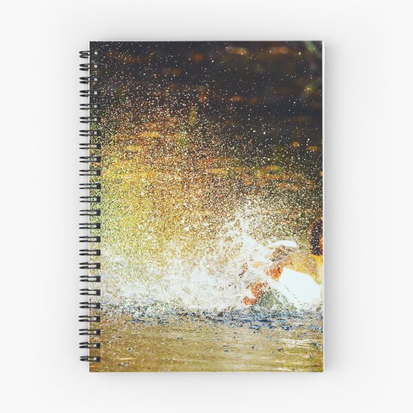 Item preview, Ganso egipcio creando un arcoiris designed and sold by Andre Rickerby.