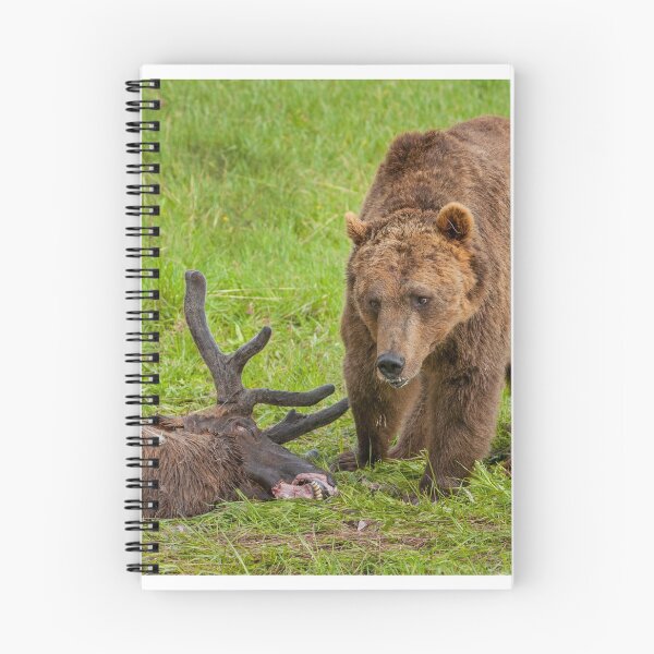Item preview, Grizzly Inspecting Elk designed and sold by Gerard Fornarotto.