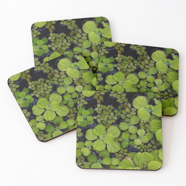 Item preview, Aquatic Plant designed and sold by estesphoto.