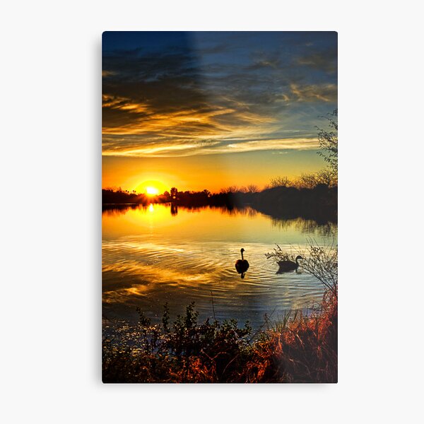 Dreamy Sunset Metal Print