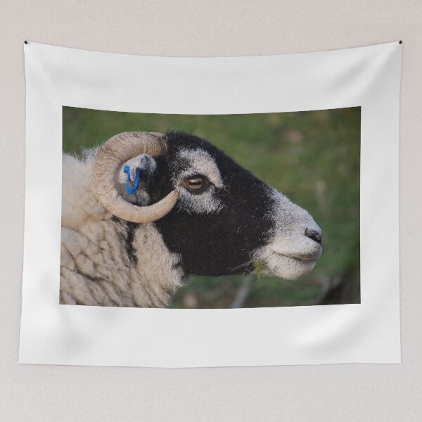 Item preview, Sheep's Head designed and sold by thelemmingface.