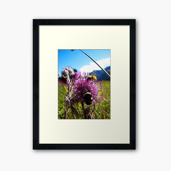Alpine Bumbling Framed Art Print