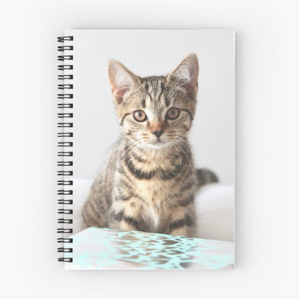 Item preview, Cute tabby kitten designed and sold by Coopington.
