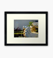 Hamilton Gardens New Zealand -Italian Renaissance Garden Framed Print
