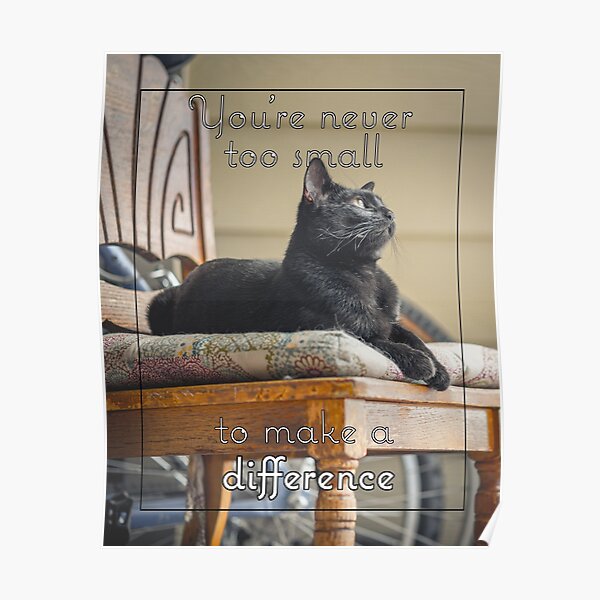 You're Never Too Small to Make a Difference Poster