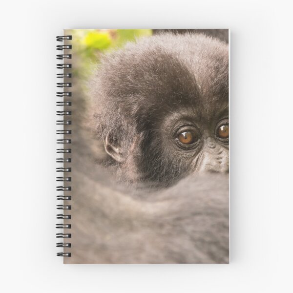 Item preview, Baby gorilla looks over shoulder of mother designed and sold by Nick Dale Photography.