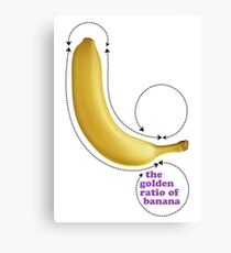 The Golden Ratio of Banana Canvas Print