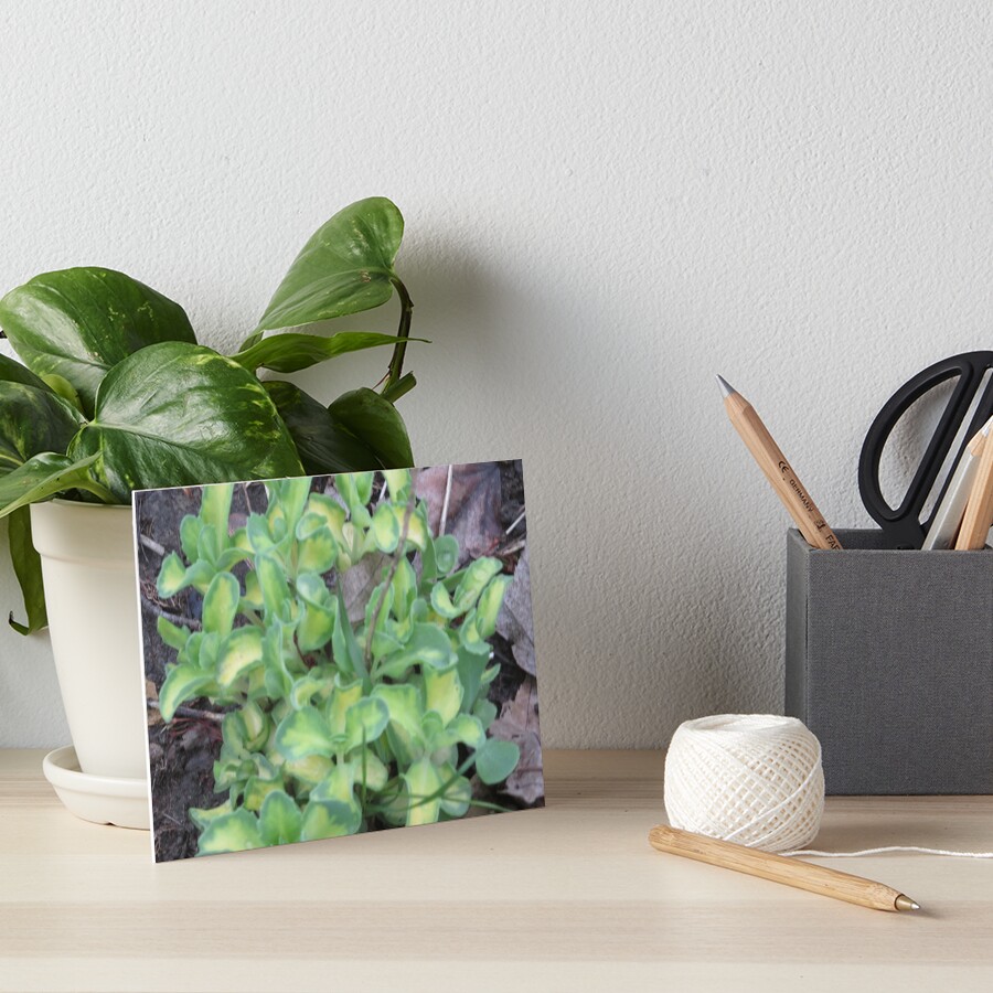 Item preview, Art Board Print designed and sold by MissLADYbugsy.