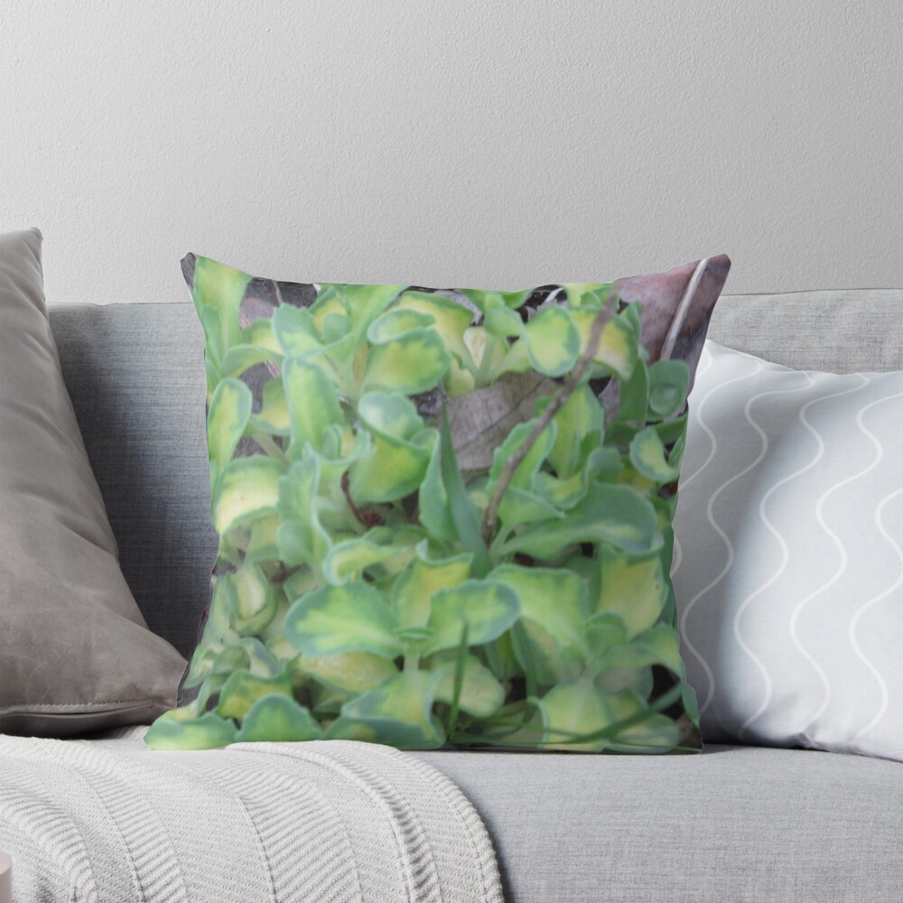 Item preview, Throw Pillow designed and sold by MissLADYbugsy.