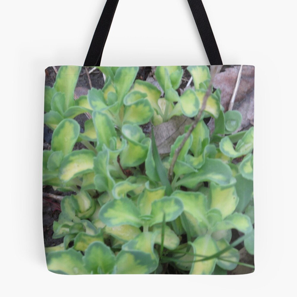 Item preview, All Over Print Tote Bag designed and sold by MissLADYbugsy.