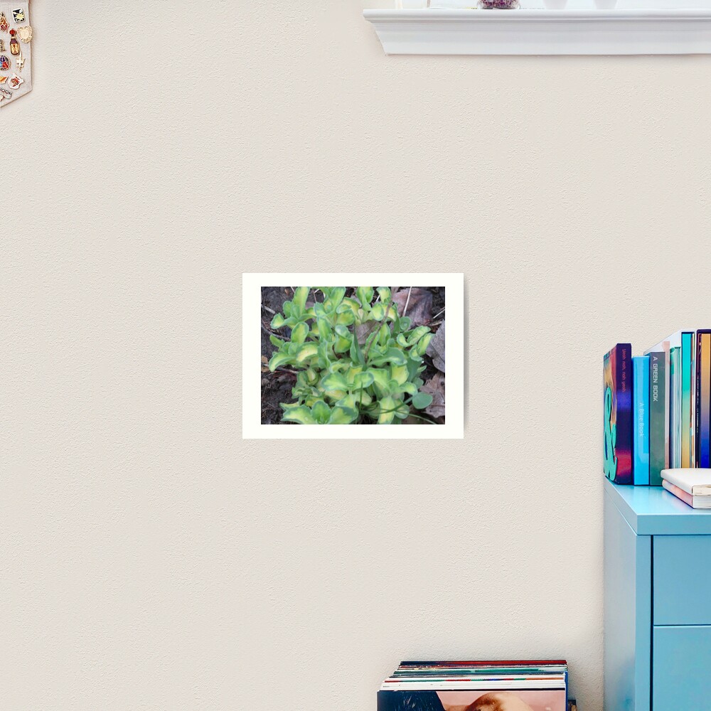 Item preview, Art Print designed and sold by MissLADYbugsy.