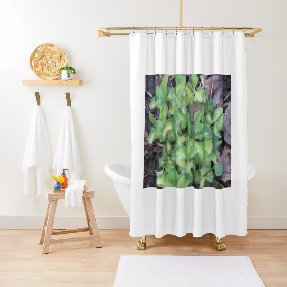 Item preview, Shower Curtain designed and sold by MissLADYbugsy.
