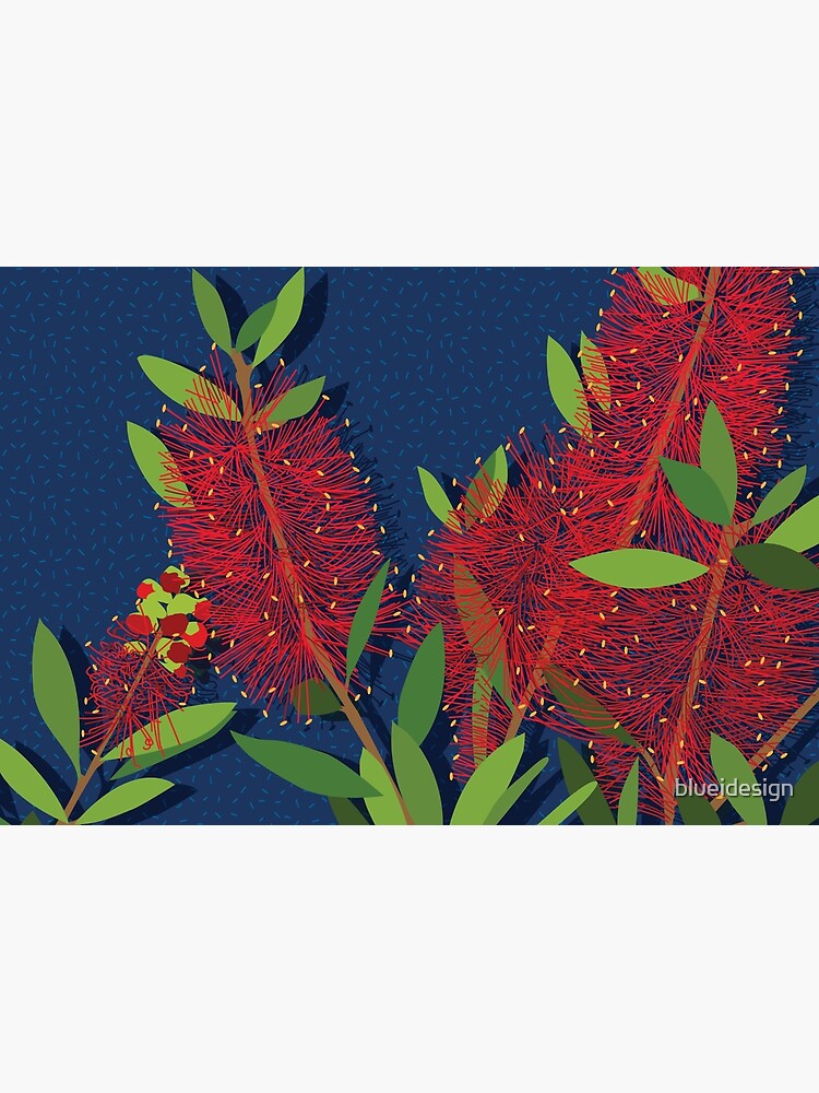 Red Bottlebrush Flowers by blueidesign