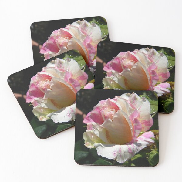 Item preview, Summer Magic .. Raindrops on a Rose designed and sold by LoneAngel.