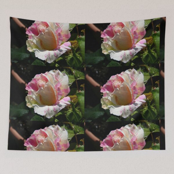 Item preview, Summer Magic .. Raindrops on a Rose designed and sold by LoneAngel.