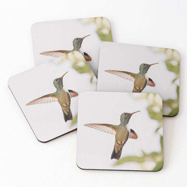Item preview, Hummingbird designed and sold by anafrancisconi.