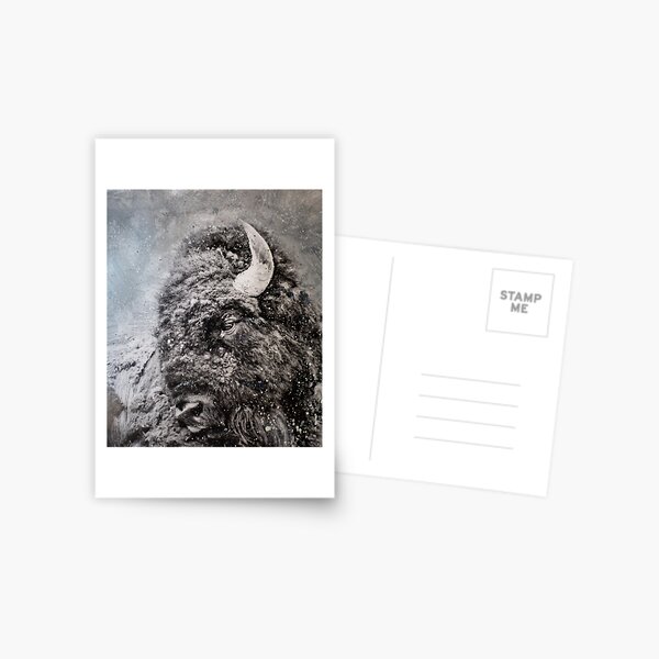 Bison in Snow Postcard