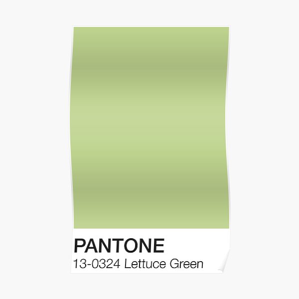 Pantone Shades Of Olive Green - Goimages Super