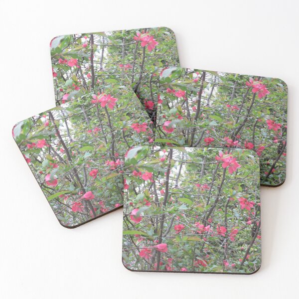Item preview, Thicket designed and sold by MissLADYbugsy.