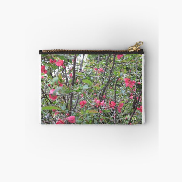 Item preview, Thicket designed and sold by MissLADYbugsy.