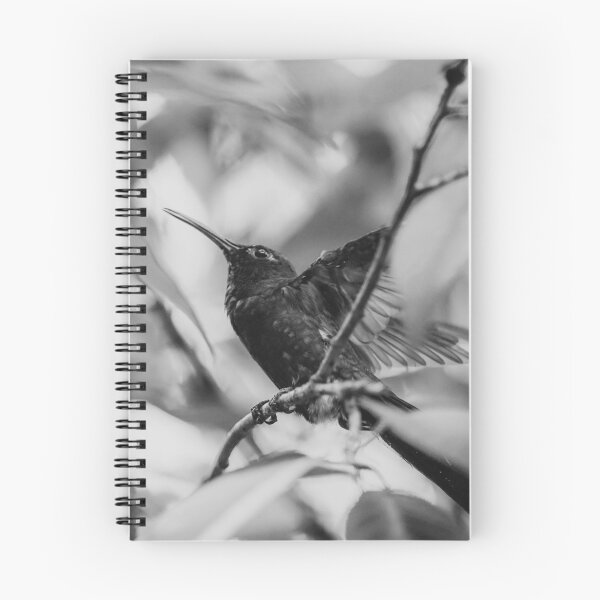 Item preview, Hummingbird designed and sold by anafrancisconi.
