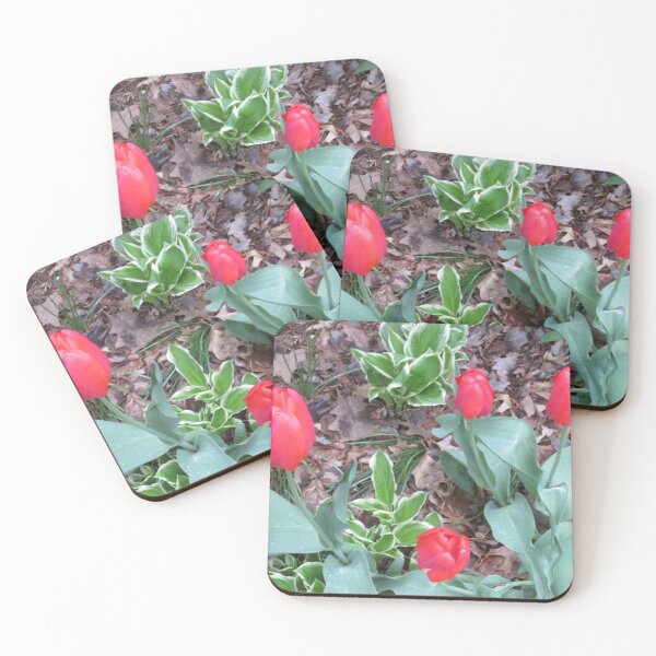 Item preview, Quartet designed and sold by MissLADYbugsy.